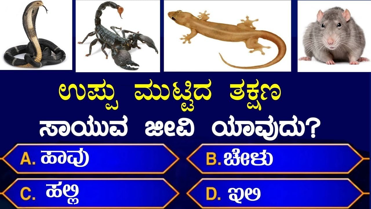 Quiz In Kannada