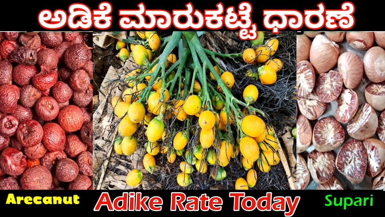 Adike Rate