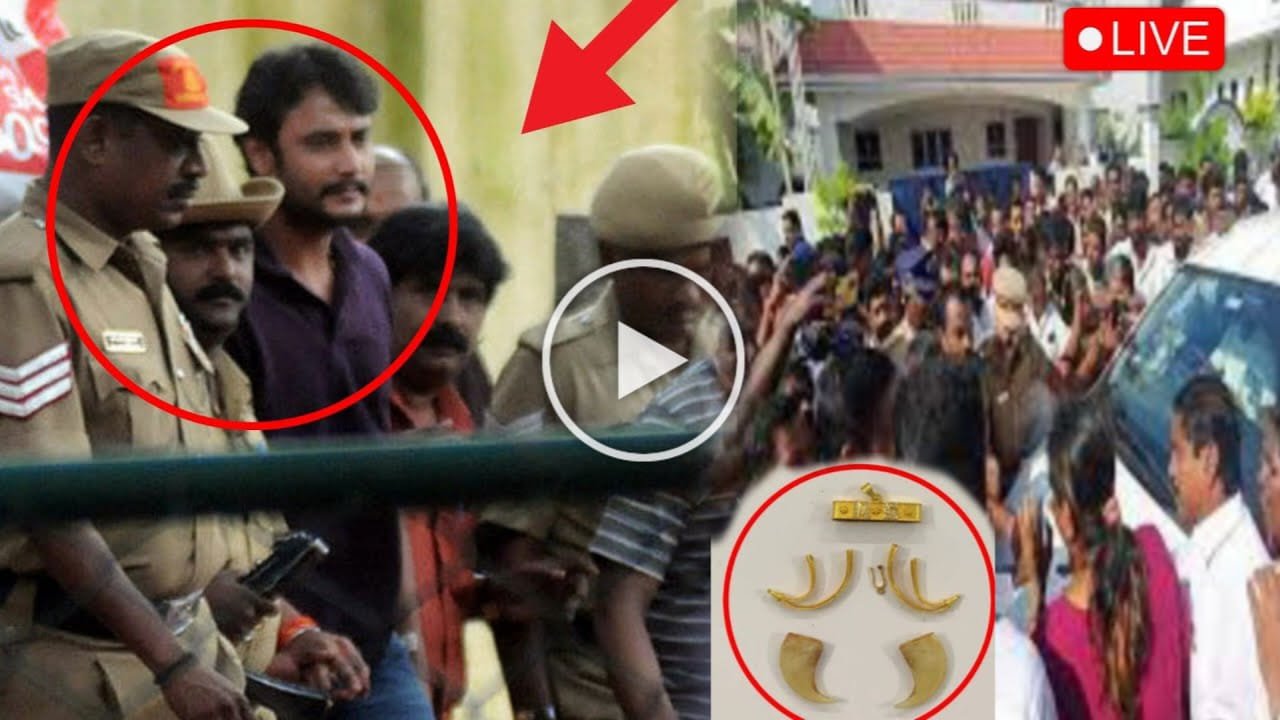 Tiger claw found in actor Darshan's house