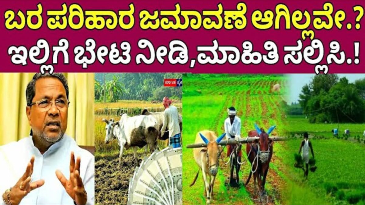 Crop Insurance : ಬೆಳೆ ನಷ್ಟ ಪರಿಹಾರ ಹೀಗೆ ಮಾಡಿ