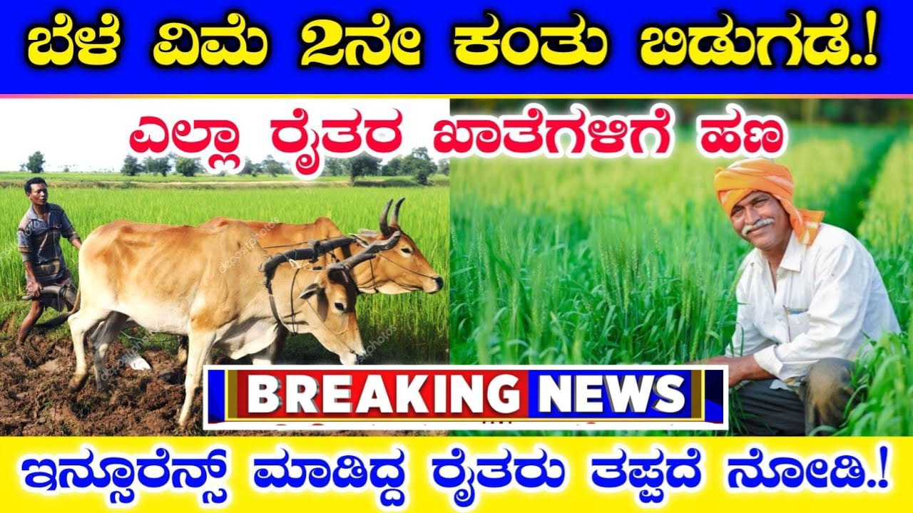 Crop Insurance : ರೈತರ ಬೆಳೆ ವಿಮೆ 2ನೇ ಕಂತಿನ ಹಣ ಬಿಡುಗಡೆ | ರೈತರ ಖಾತೆಗಳಿಗೆ ಹಣ ವರ್ಗಾವಣೆ | Crop Insurance 2nd installment